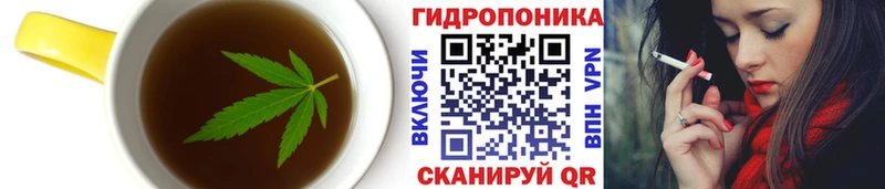 где купить наркоту  Спас-Клепики  Cannafood конопля 