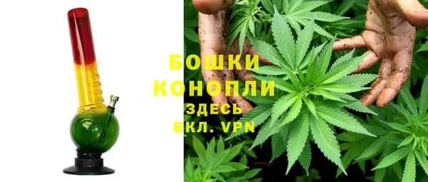 стаф Кукмор